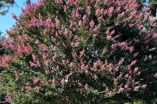 25 Plymouth Dr, Toms River Township, NJ 08757 - Photo 25