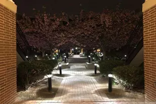 368 Rector St, Perth Amboy, NJ 08862 - Photo 27