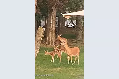 3 Woodstock Drive, Toms River Township, NJ 08757 - Photo 53