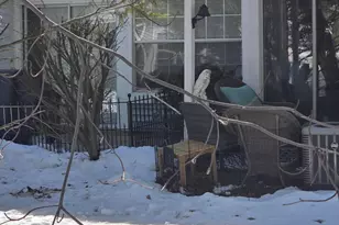 62 Horseshoe Ct, Tinton Falls, NJ 07753 - Photo 23