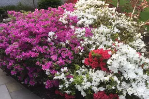 1532 Long Meadow, Mountainside, NJ 07092 - Photo 49