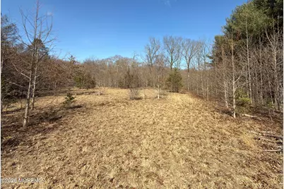327 Sharon Road, Robbinsville Township, NJ 08691 - Photo 3