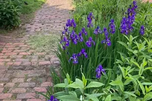 72 1st St, Keyport, NJ 07735 - Photo 31