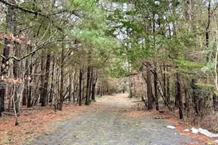 343 Harbor View, Forked River, NJ 08731 - Photo 59