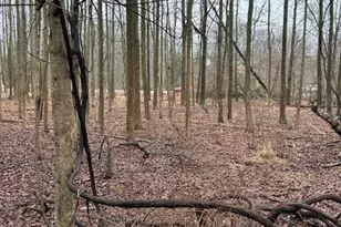 3 Fox Hill Dr, Millstone Township, NJ 08535 - Photo 1