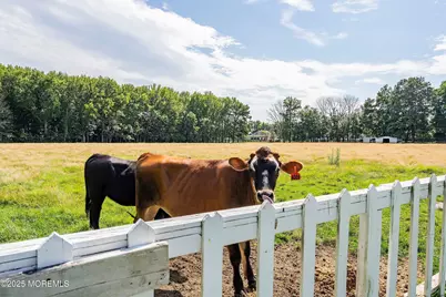 25 Water Street, Colts Neck Township, NJ 07722 - Photo 67