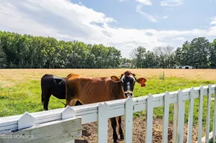 25 Water St, Colts Neck Township, NJ 07722 - Photo 67