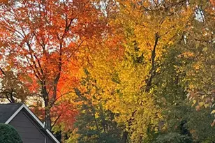 11 Anton Pl, Aberdeen Township, NJ 07747 - Photo 23