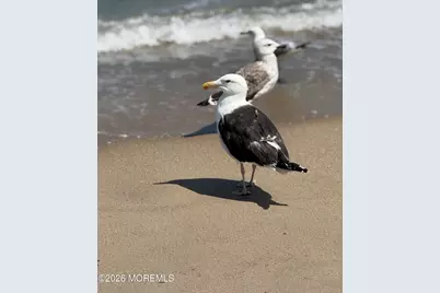 210 Carter Avenue, Point Pleasant Beach, NJ 08742 - Photo 7