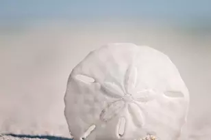 26 Oxford Ln, Eatontown, NJ 07724 - Photo 37