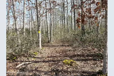 0 Cedar Bridge Road, Barnegat, NJ 08005 - Photo 7