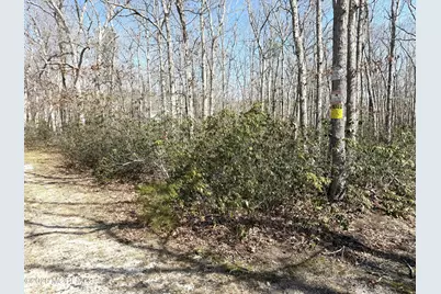 0 Cedar Bridge Road, Barnegat, NJ 08005 - Photo 3