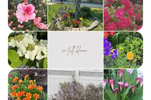 350 E Rd, Belford, NJ 07718 - Photo 45