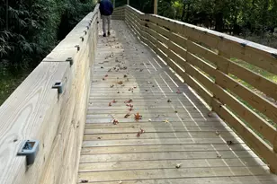 243 Woodcrest Rd, Oakhurst, NJ 07755 - Photo 33