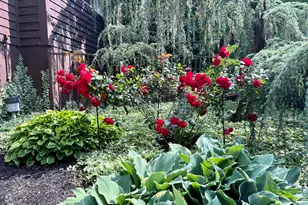 11 Hidden Pine Dr, Colts Neck Township, NJ 07722 - Photo 69