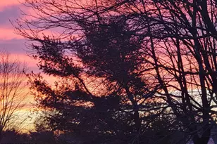 1F Chadwick Ln, Monroe Township, NJ 08831 - Photo 25