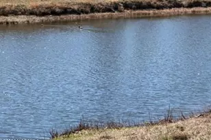 293B Malvern Ct, Lakewood, NJ 08701 - Photo 11