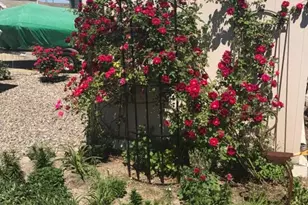 1195 Fischer Blvd, Toms River Township, NJ 08753 - Photo 29