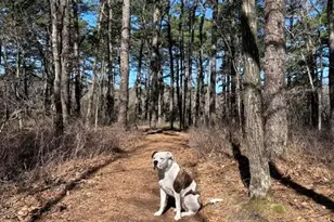 4005 Cleveland St, Toms River Township, NJ 08755 - Photo 47