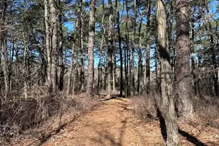 4005 Cleveland St, Toms River Township, NJ 08755 - Photo 45