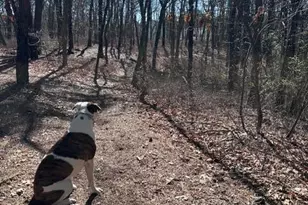 4005 Cleveland St, Toms River Township, NJ 08755 - Photo 47