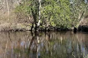 4005 Cleveland St, Toms River Township, NJ 08755 - Photo 43