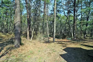 20 Eagle Dr, Whiting, NJ 08759 - Photo 3