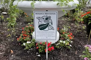 204 Deanne Dr, Lakewood, NJ 08701 - Photo 45