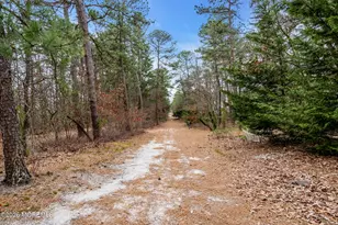 239 Hawthorne Ln, Barnegat, NJ 08005 - Photo 51