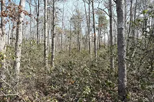 0 Birchwood Dr, Tuckerton, NJ 08087 - Photo 1