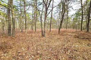 0 Birchwood Dr, Tuckerton, NJ 08087 - Photo 1