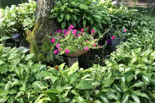 520 Hardenberg Ave, Point Pleasant, NJ 08742 - Photo 35