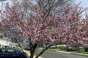 911 Harris Ave, Union Beach, NJ 07735 - Photo 31