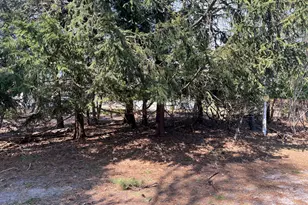 5 Revere Ct, Whiting, NJ 08759 - Photo 35