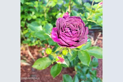 504 Emory Street #Unit 2, Asbury Park, NJ 07712 - Photo 31