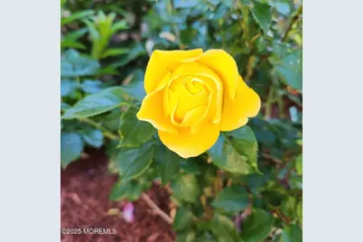 504 Emory Street #Unit 2, Asbury Park, NJ 07712 - Photo 33