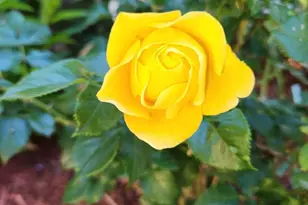 504 Emory St, Asbury Park, NJ 07712 - Photo 33