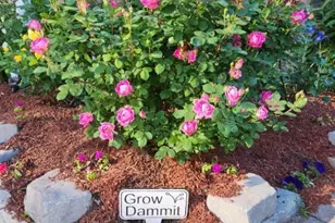 504 Emory St, Asbury Park, NJ 07712 - Photo 29