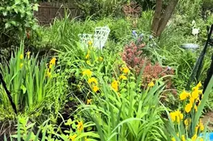 162 Millstone Rd, Millstone Township, NJ 08535 - Photo 45