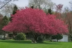 7 Melody Ct, Yardville, NJ 08620 - Photo 27