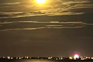 32 Cove Rd W, Berkeley, NJ 08721 - Photo 41