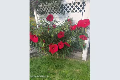 830 Deguise Street, Lanoka Harbor, NJ 08734 - Photo 39