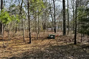 16 Pinewood Dr, Little Egg Harbor, NJ 08087 - Photo 1