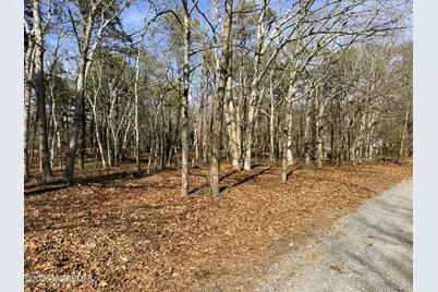 3 Pinewood Drive, Little Egg Harbor, NJ 08087 - Photo 5