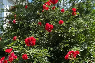 82 3rd St, Fair Haven, NJ 07704 - Photo 33