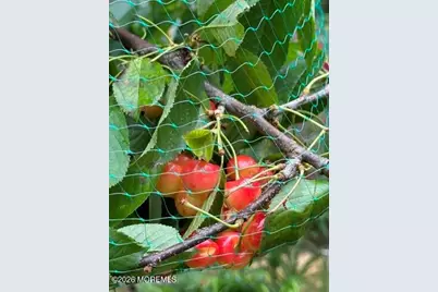 111 Valley Avenue, Highlands, NJ 07732 - Photo 15