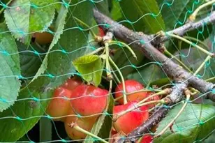 111 Valley Ave, Highlands, NJ 07732 - Photo 15