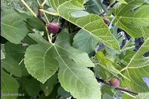 111 Valley Ave, Highlands, NJ 07732 - Photo 47