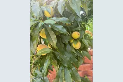 111 Valley Avenue, Highlands, NJ 07732 - Photo 13