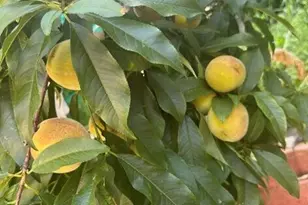 111 Valley Ave, Highlands, NJ 07732 - Photo 13